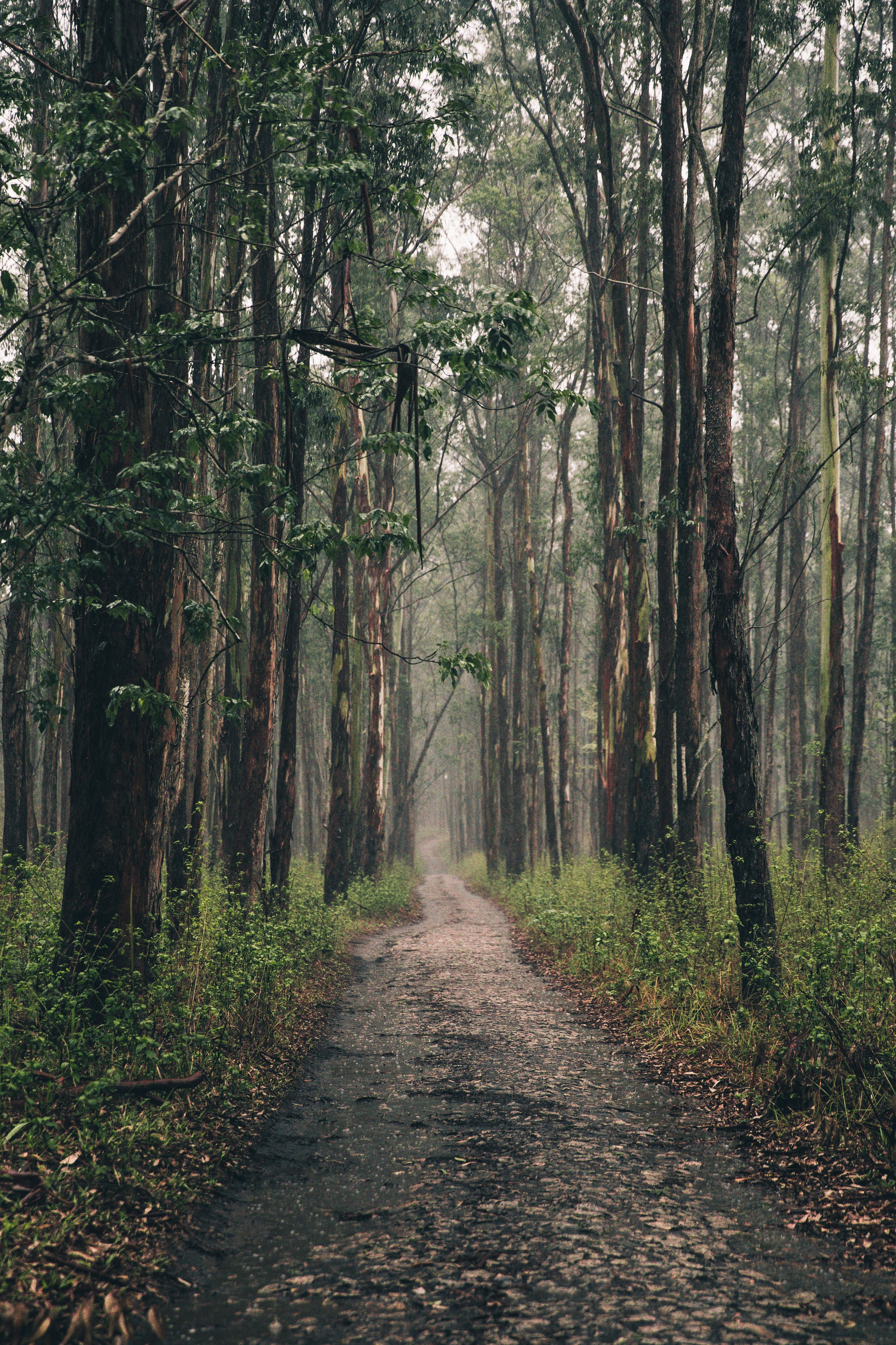 Our Commitment To Sustainability At Earthwoven